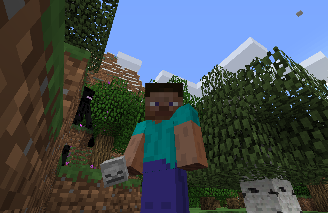 Attached image file