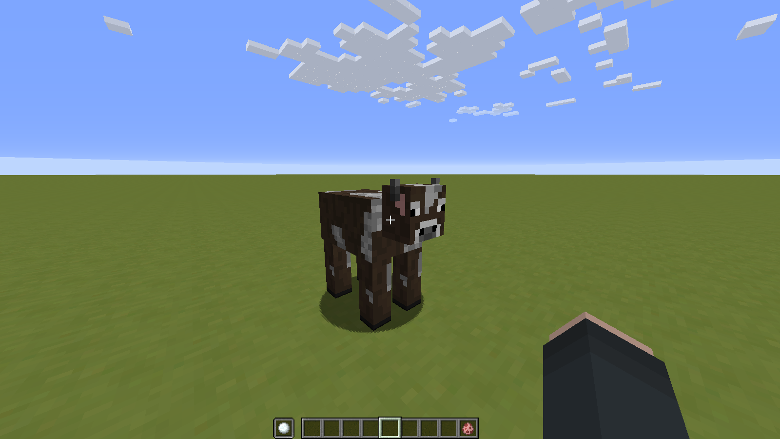 Attached image file