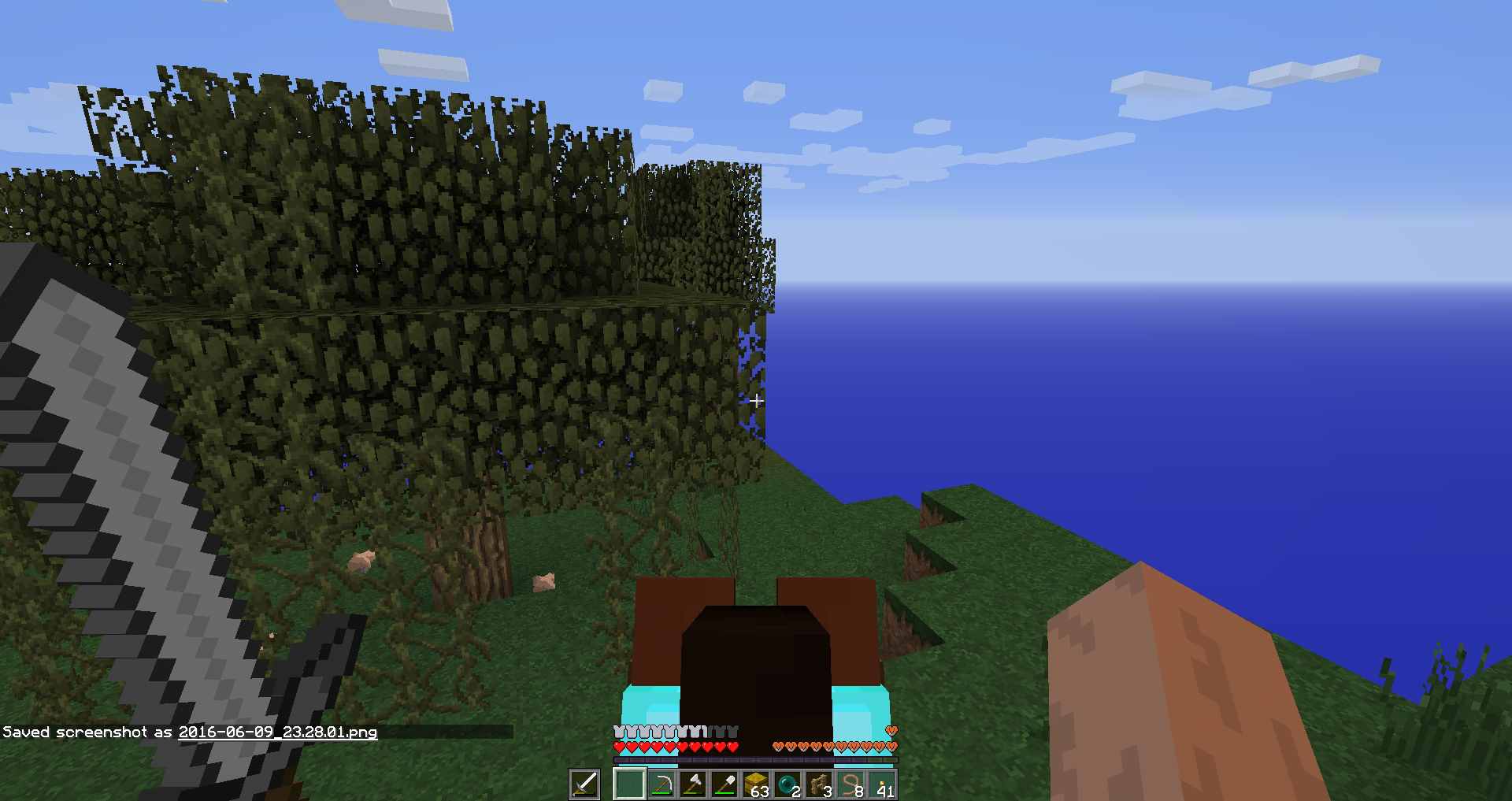 Attached image file