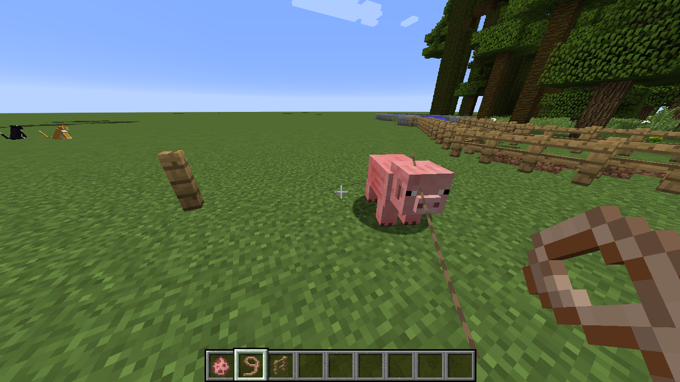 Attached image file