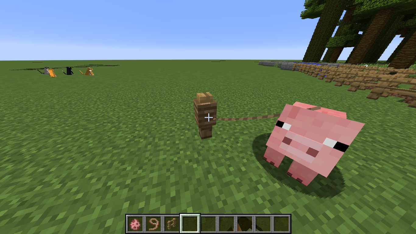 Attached image file
