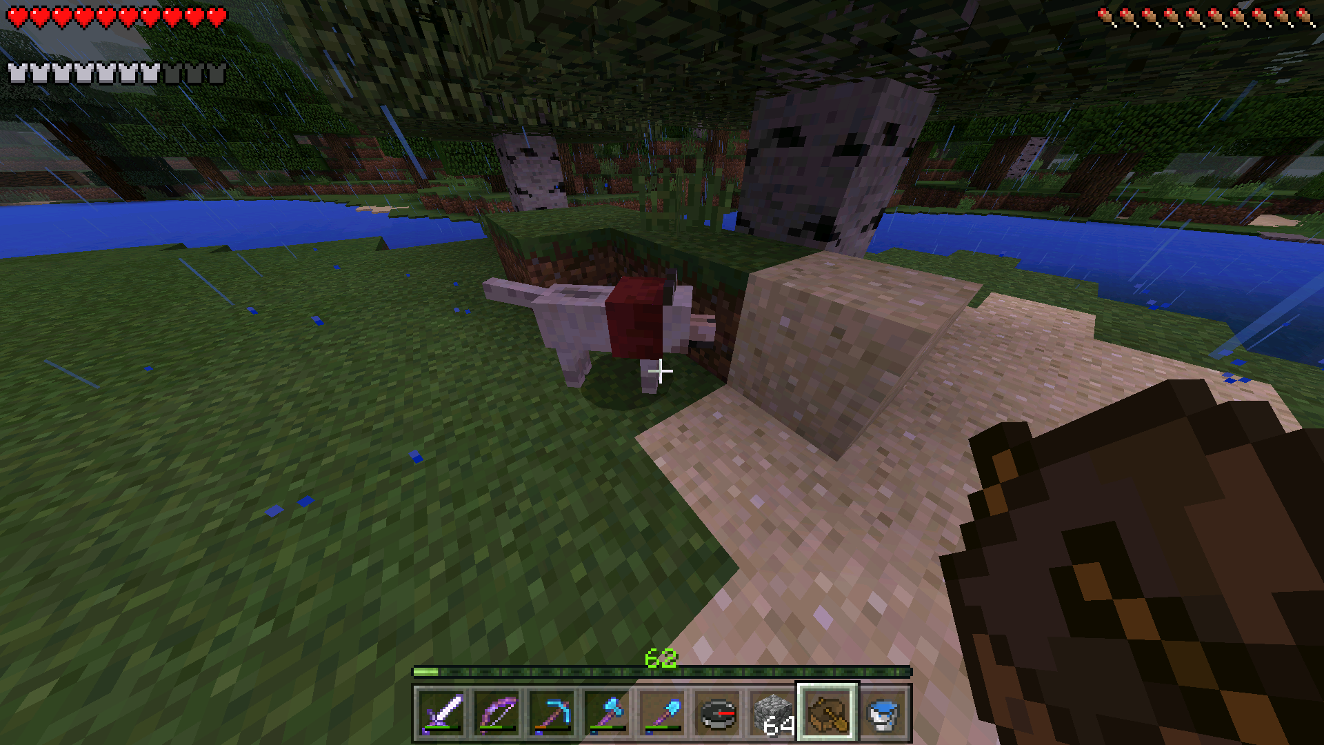 Attached image file