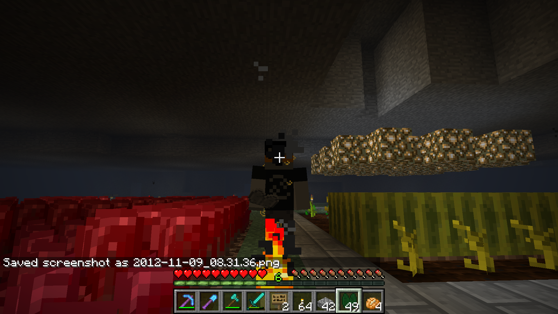 Attached image file
