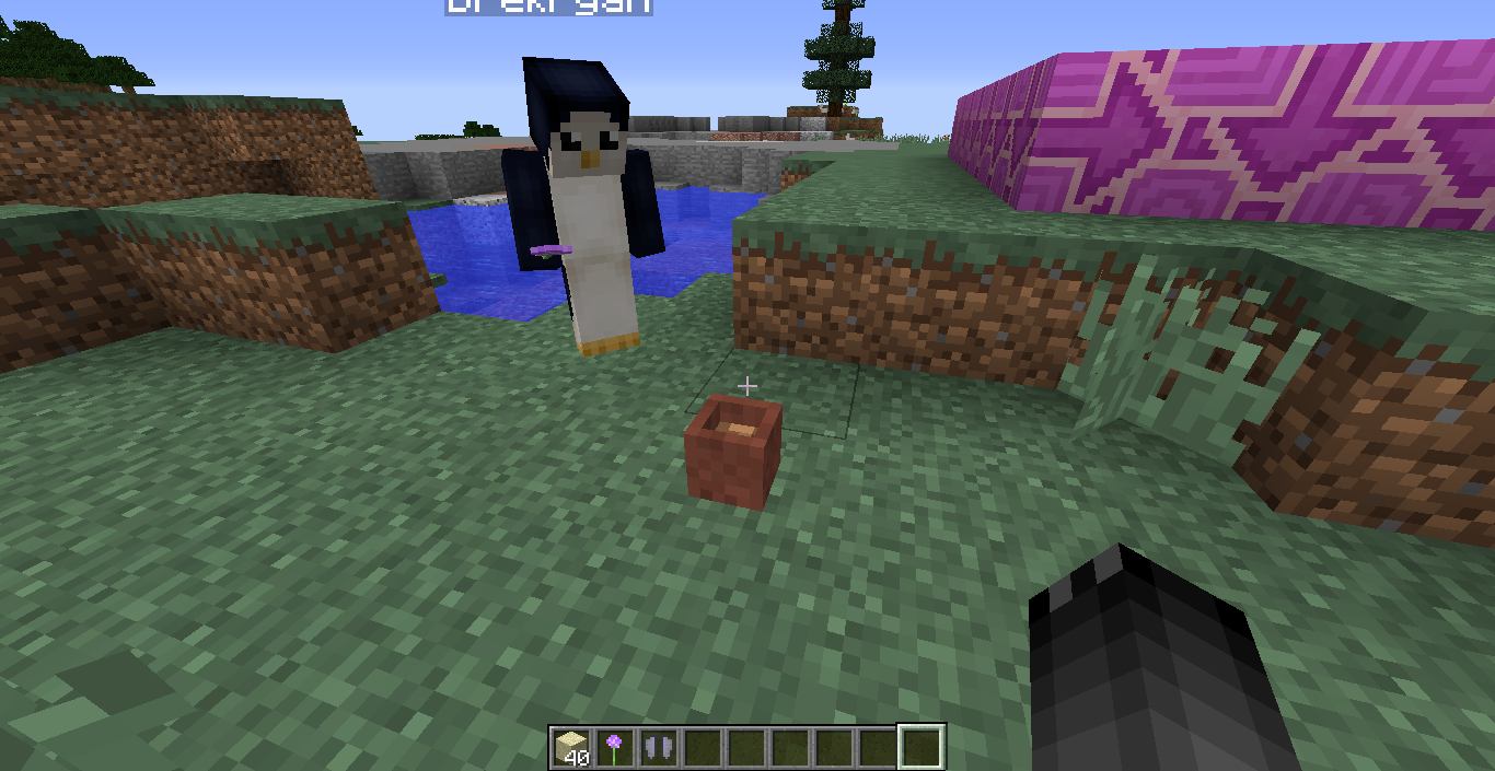 Attached image file