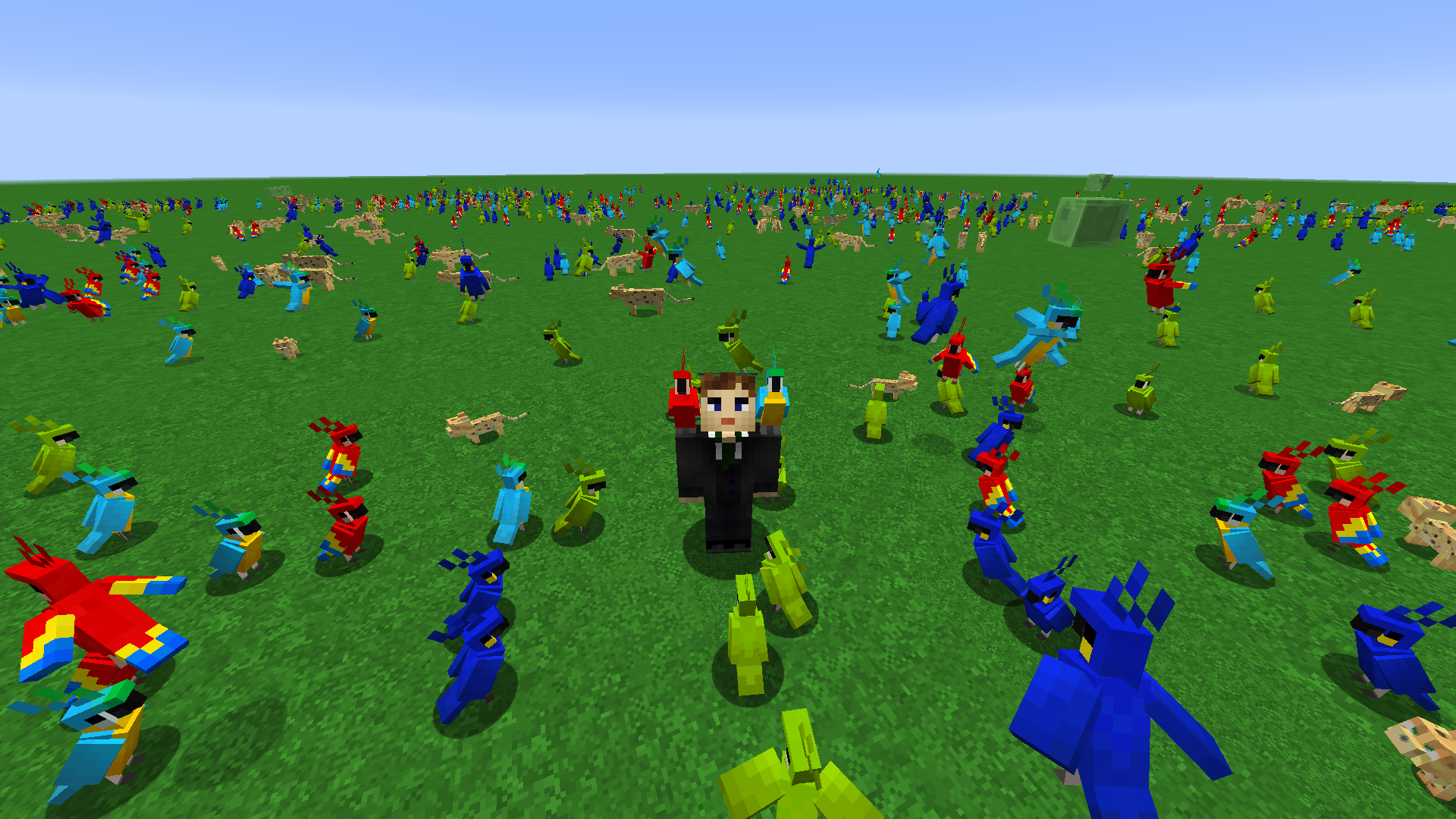 Attached image file