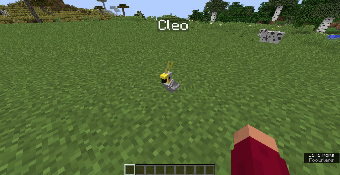 Attached image file