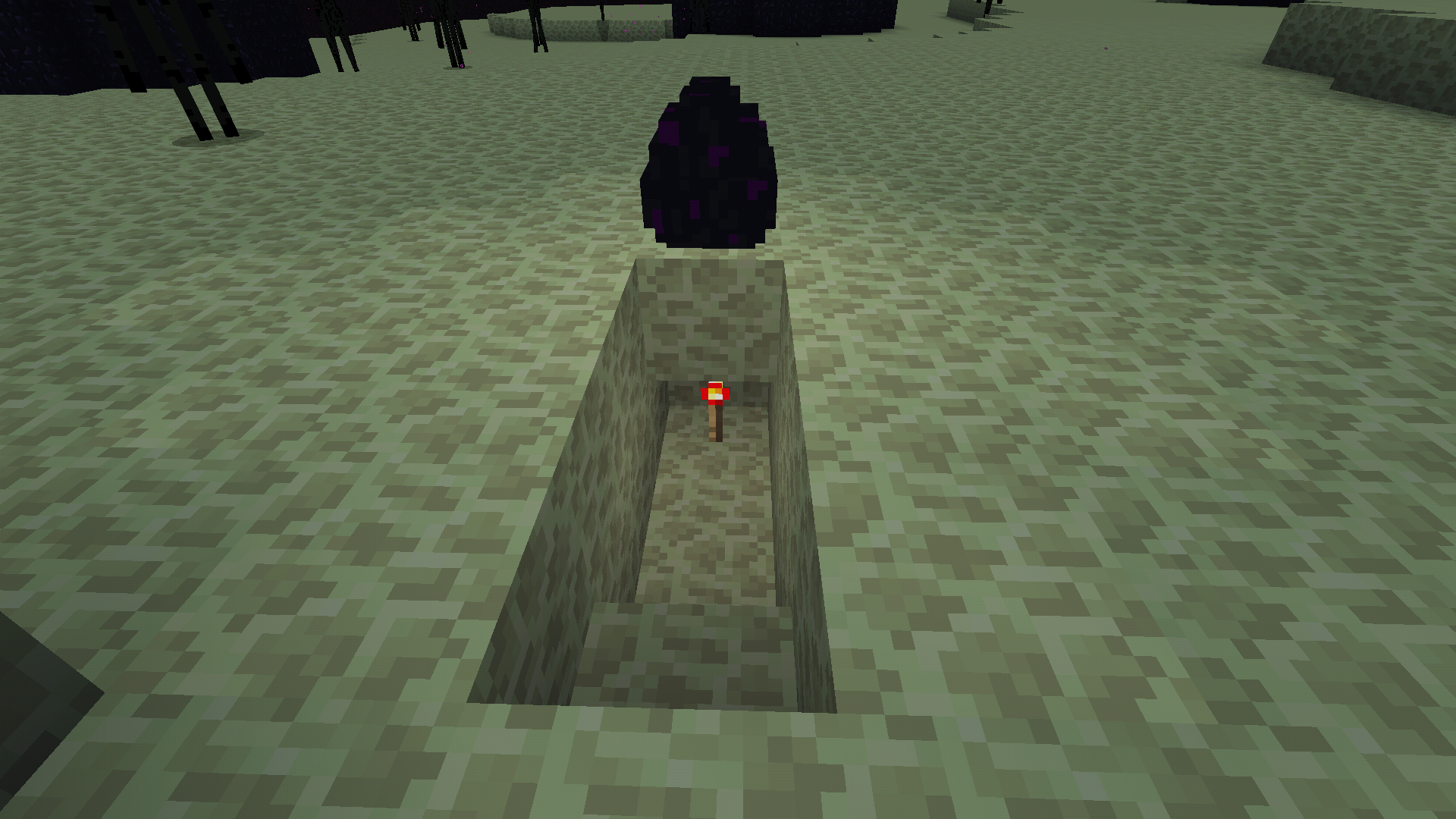 Attached image file