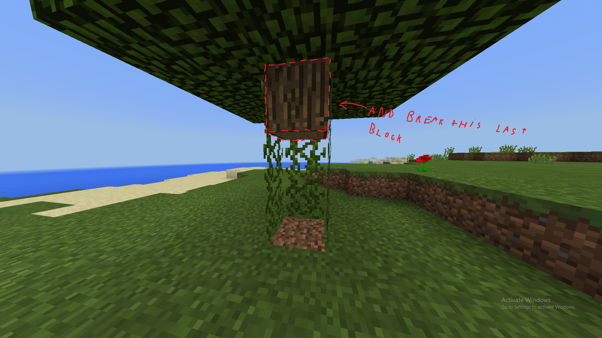 Attached image file