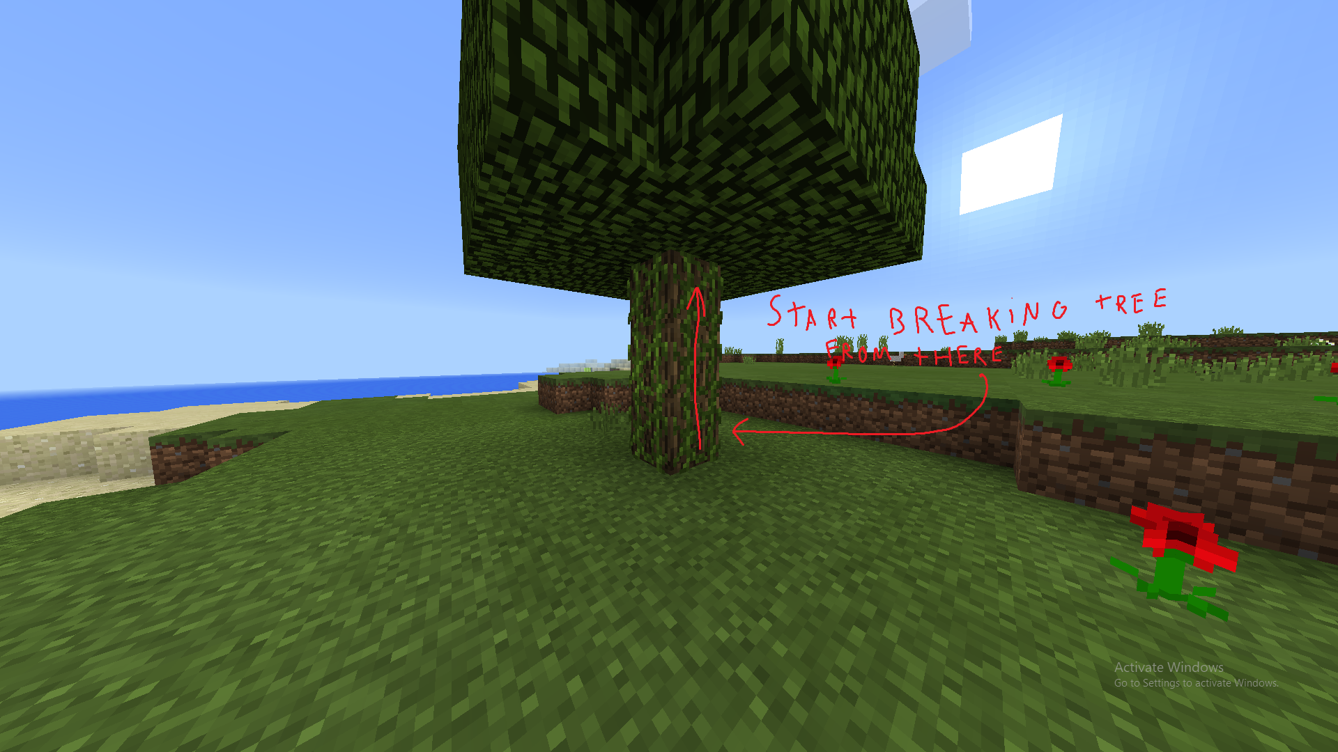 Attached image file