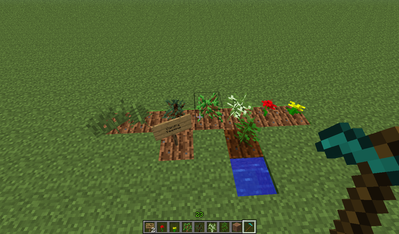 Attached image file