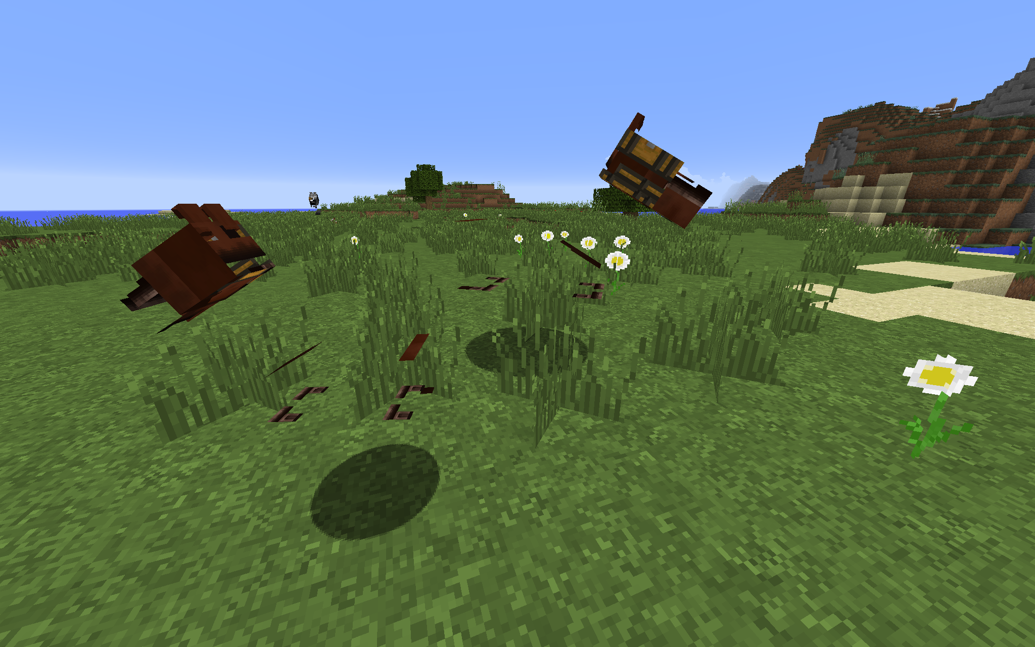 Attached image file