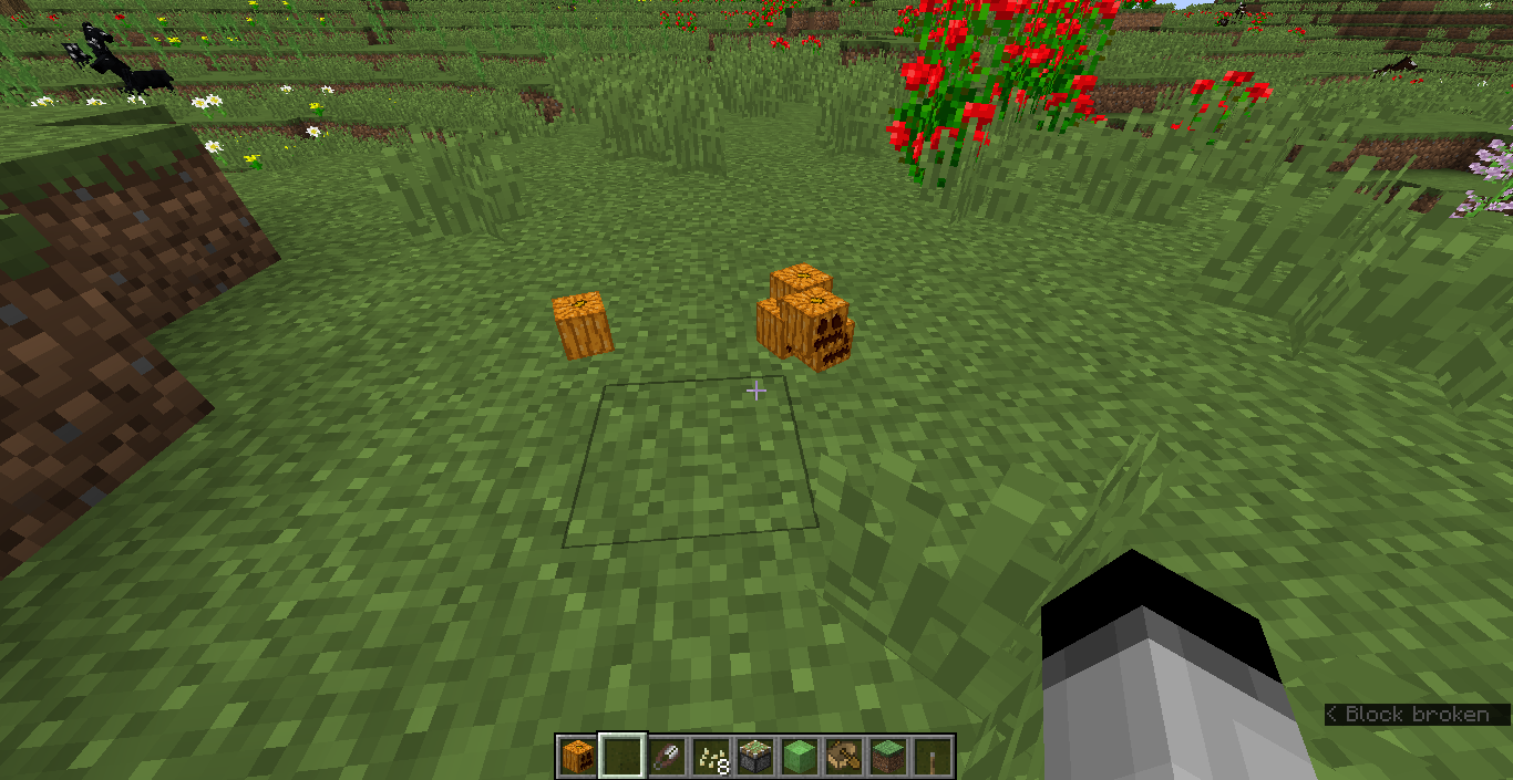 Attached image file