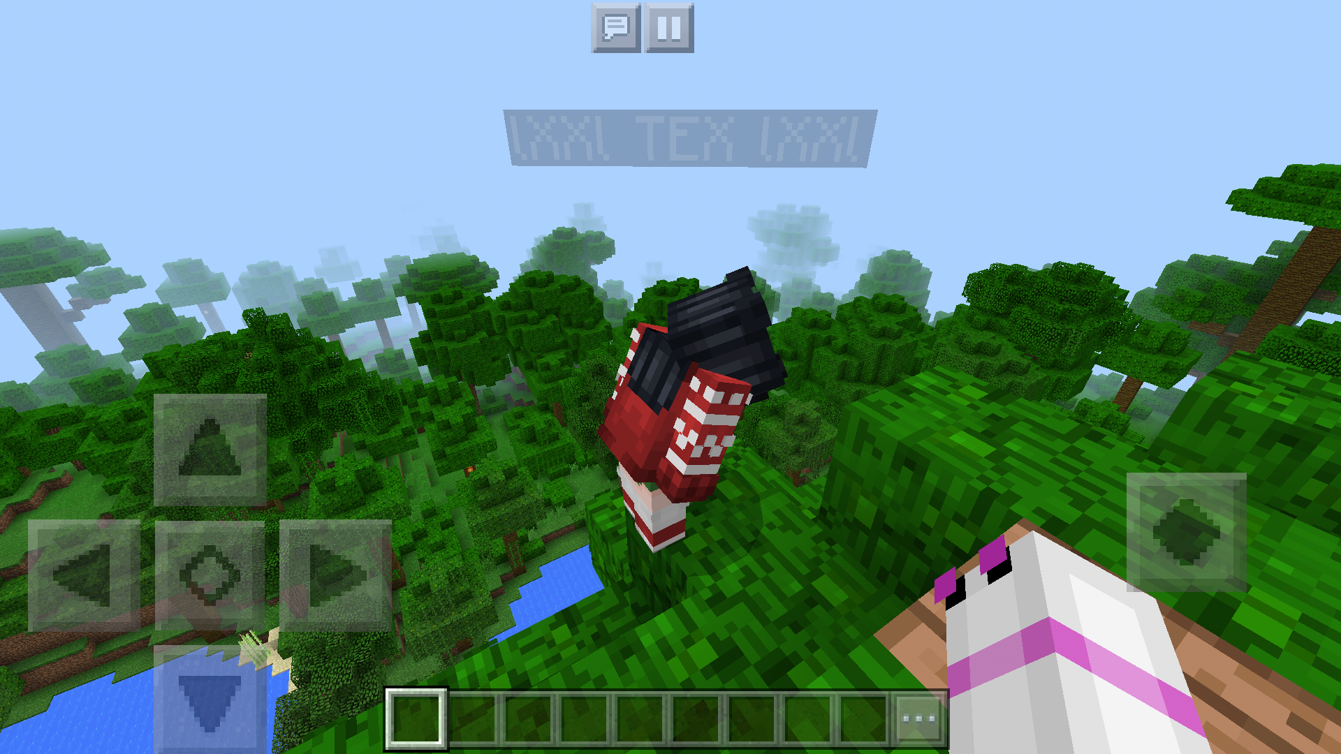 Attached image file