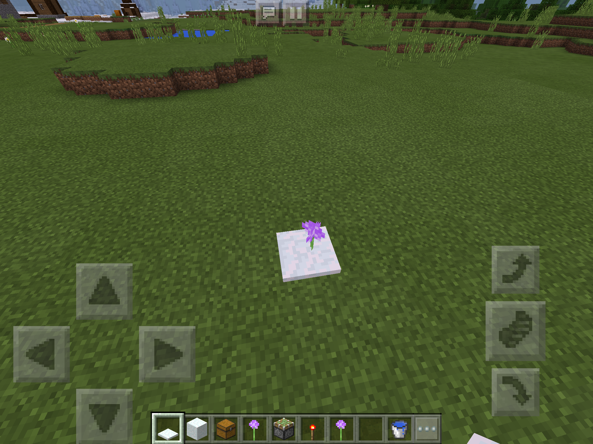 Attached image file