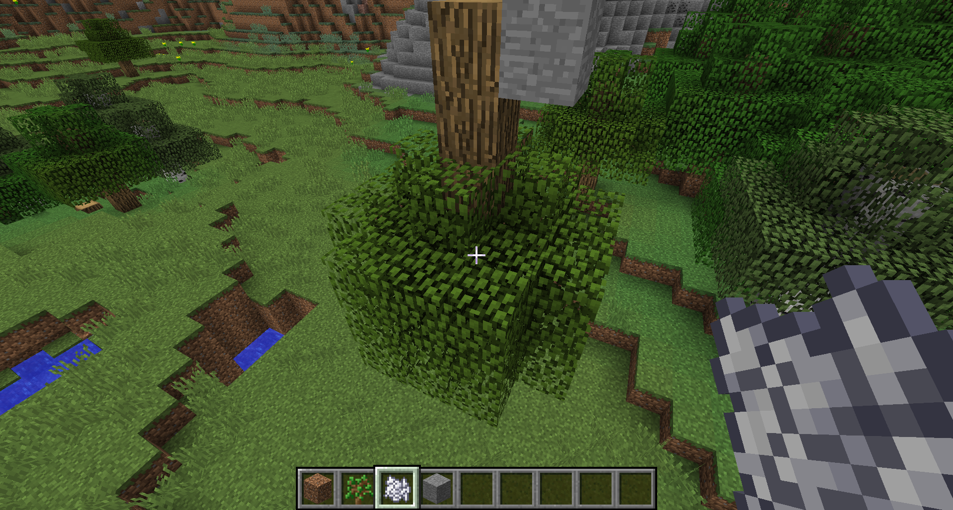 Attached image file