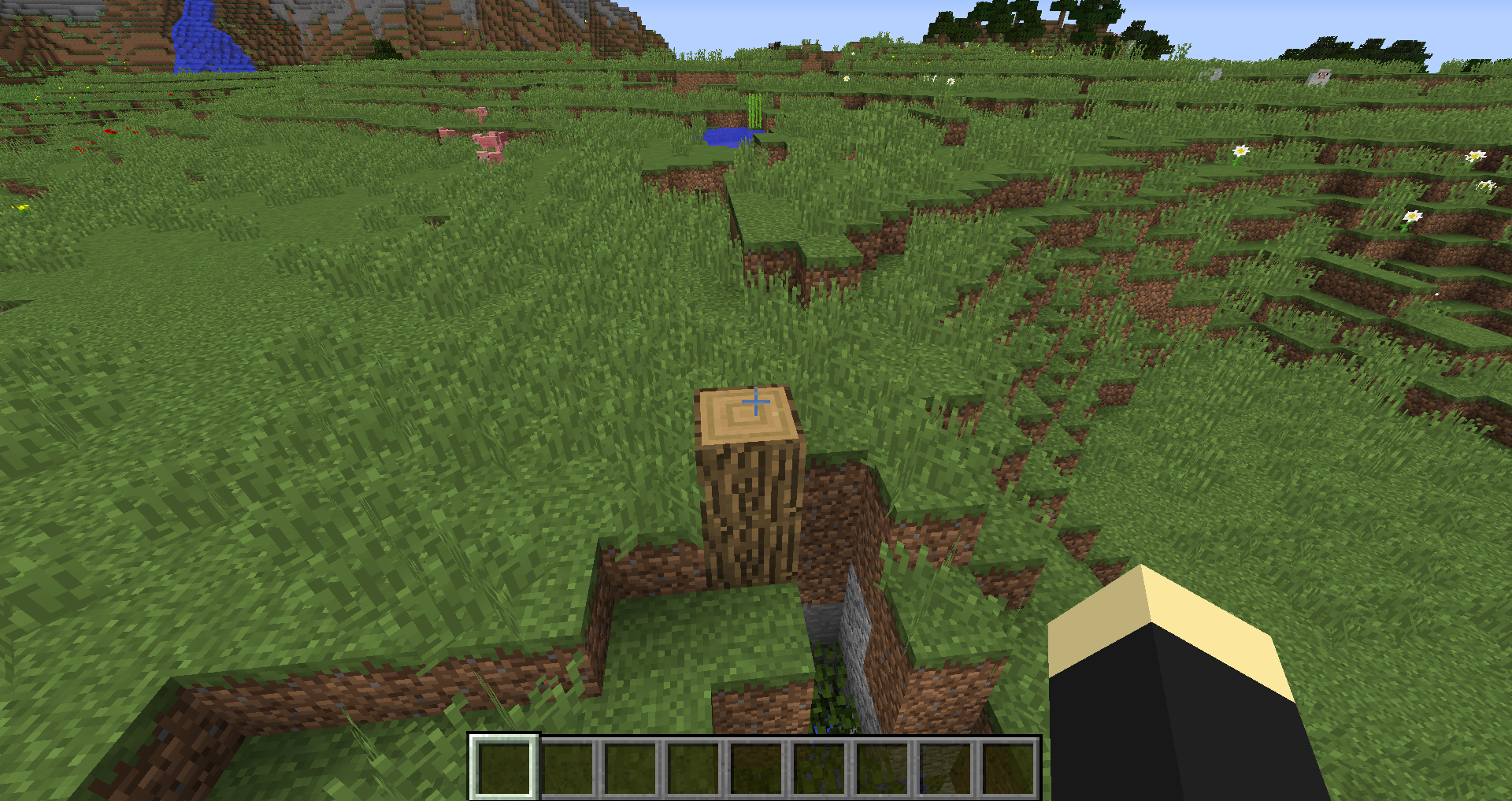 Attached image file