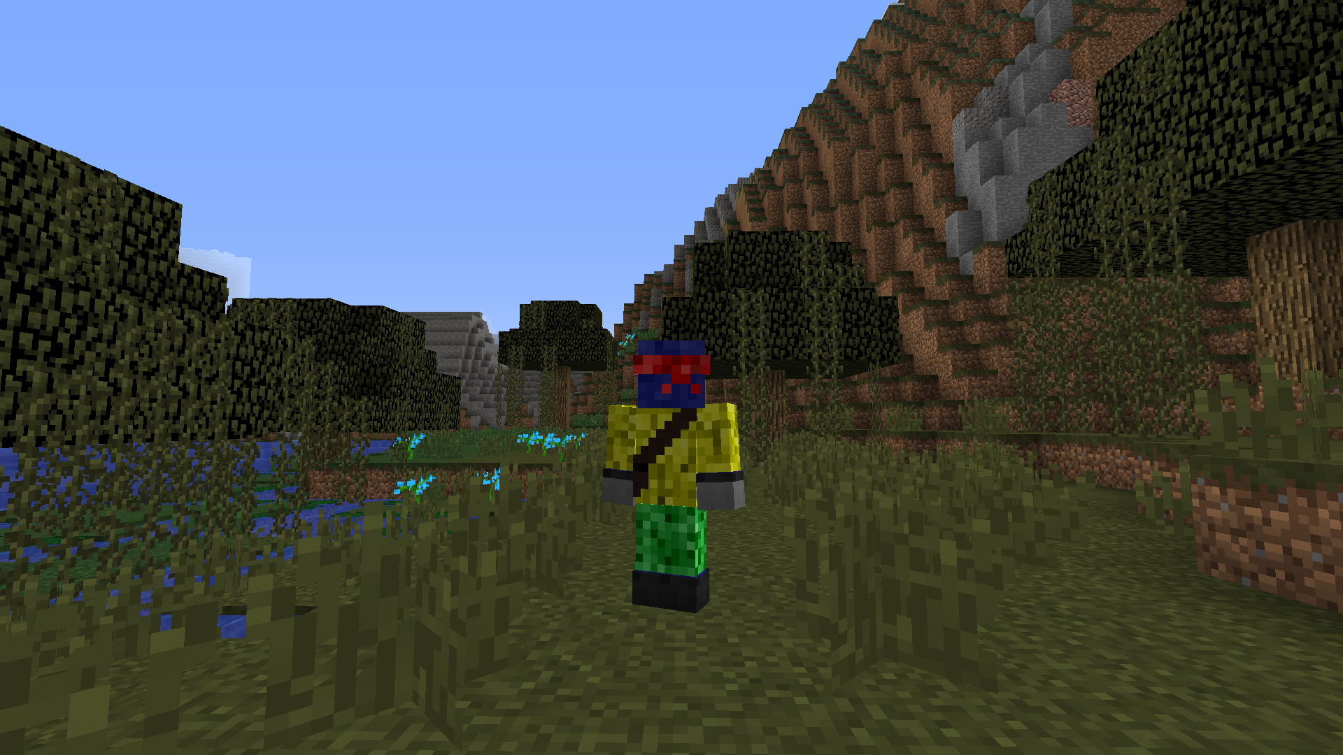 Attached image file