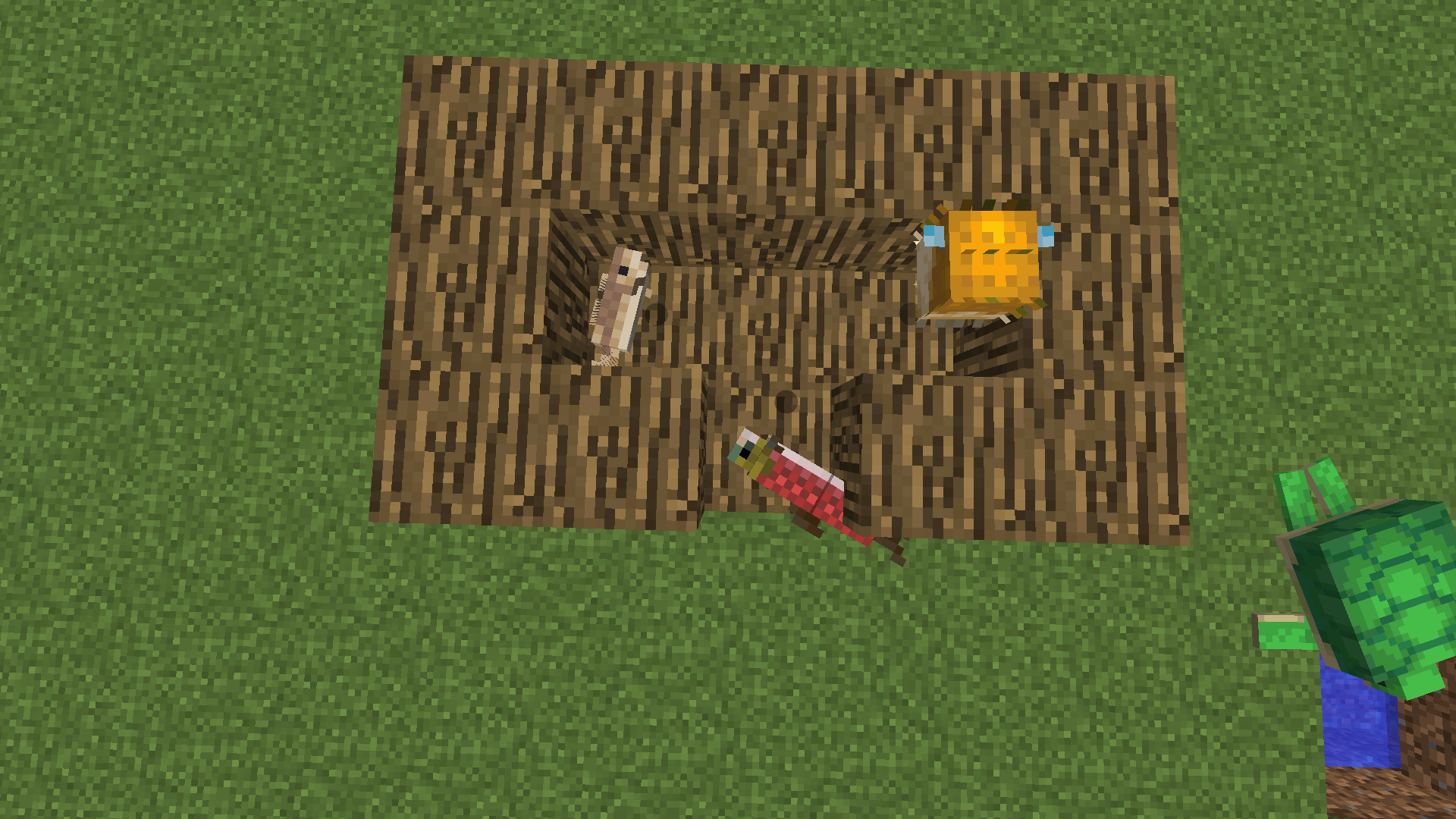 Attached image file