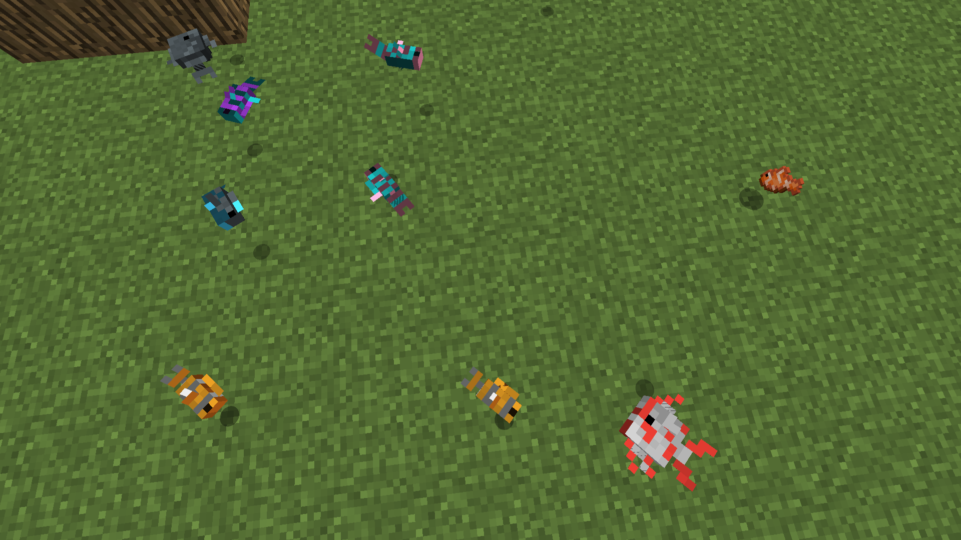 Attached image file