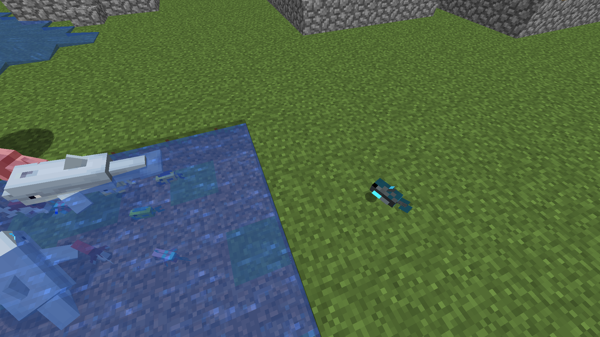 Attached image file