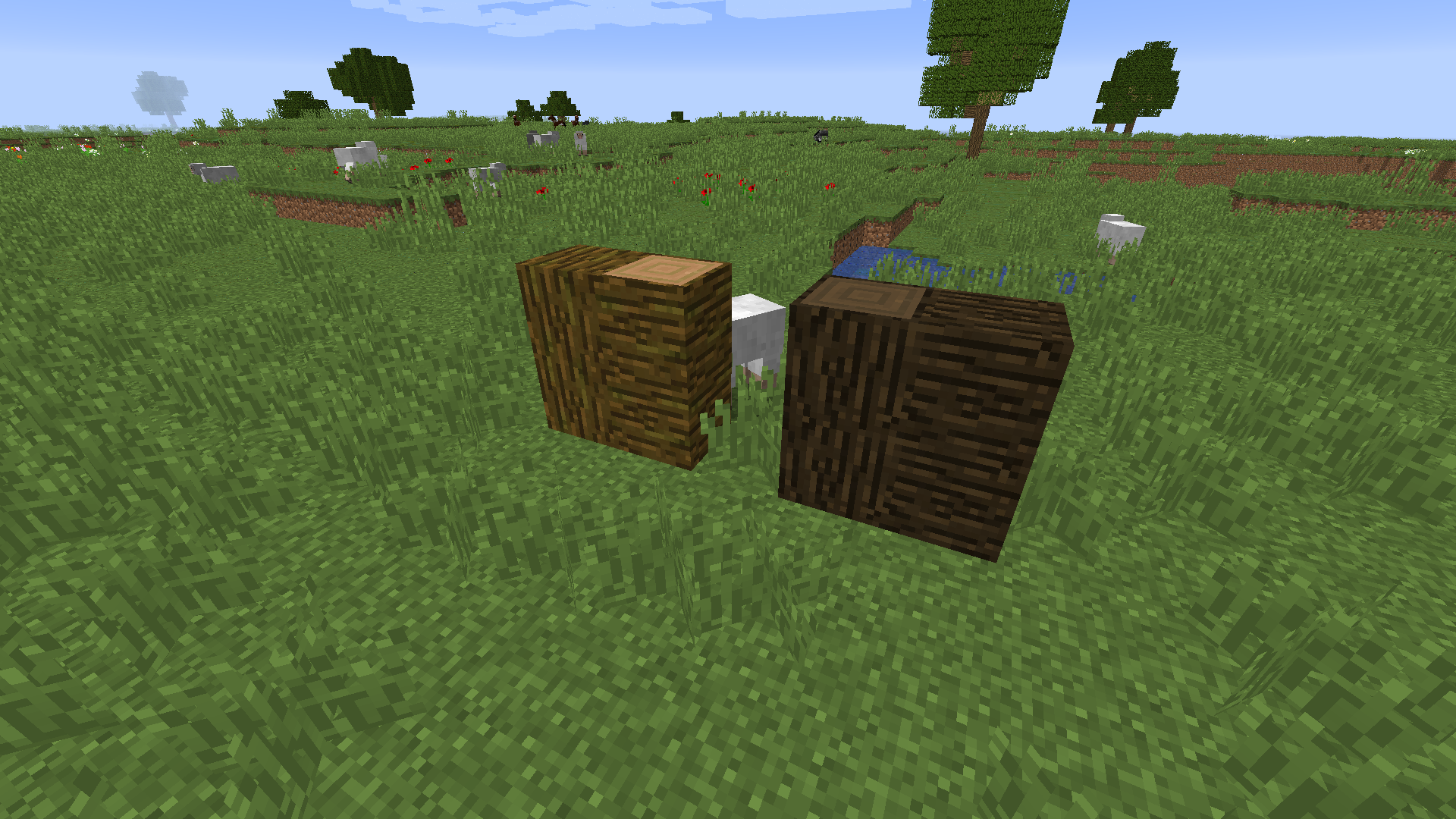 Attached image file