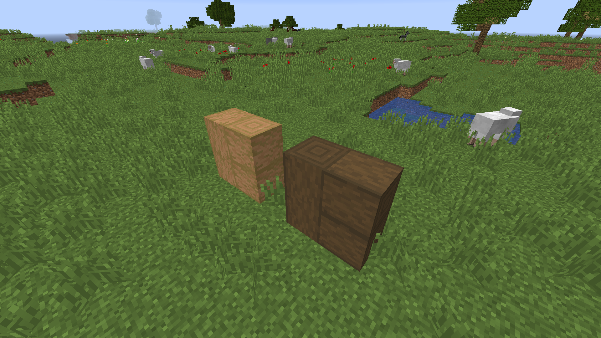 Attached image file
