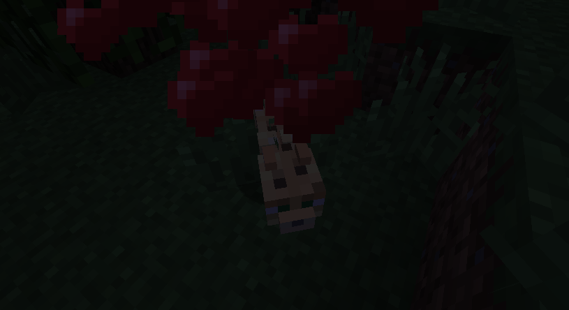 Attached image file