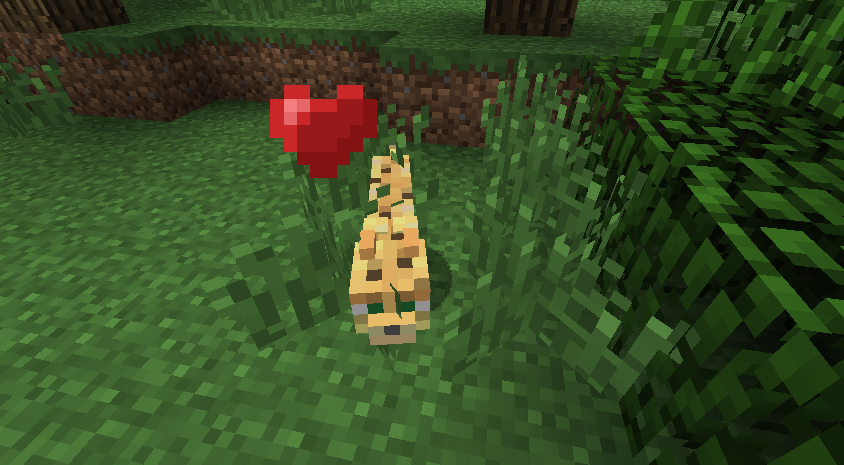 Attached image file
