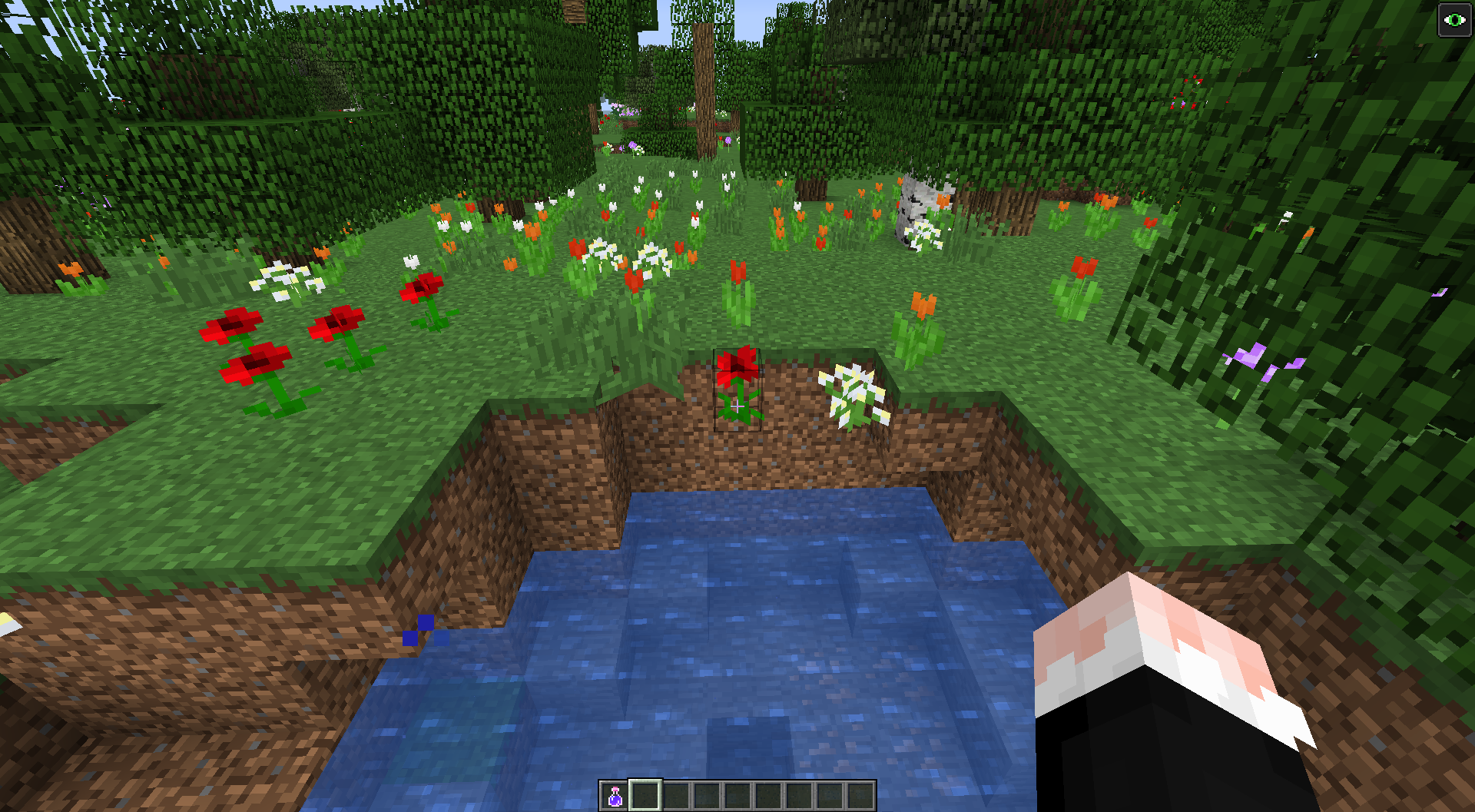 Attached image file