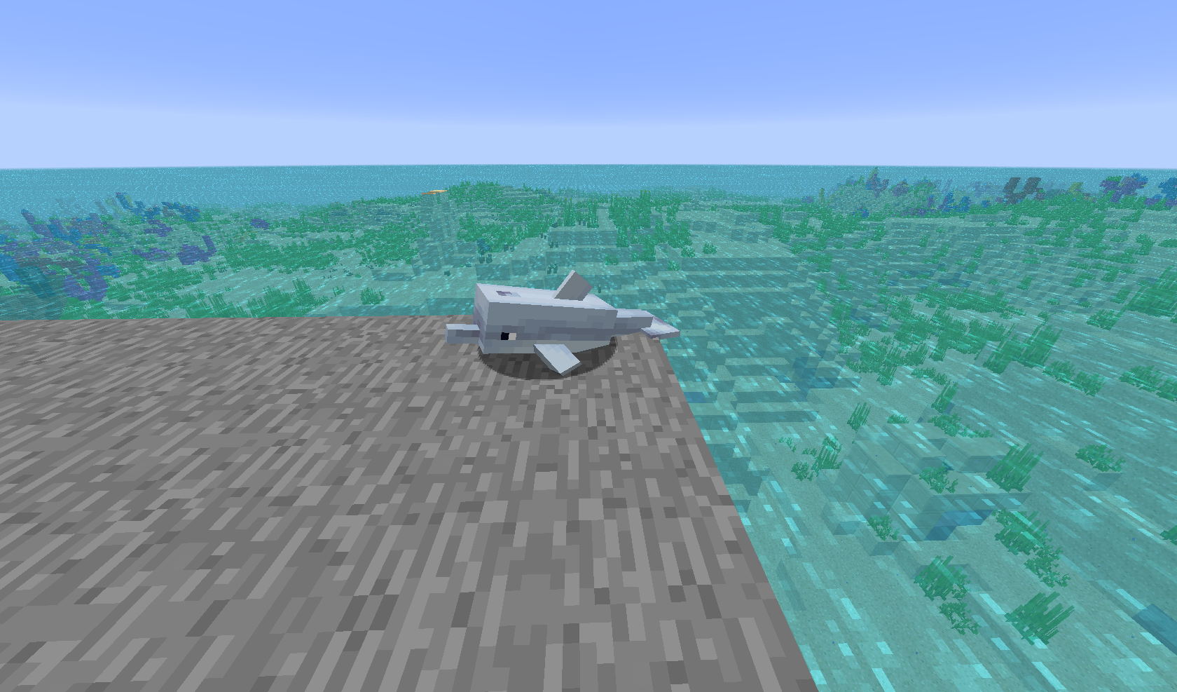 Attached image file