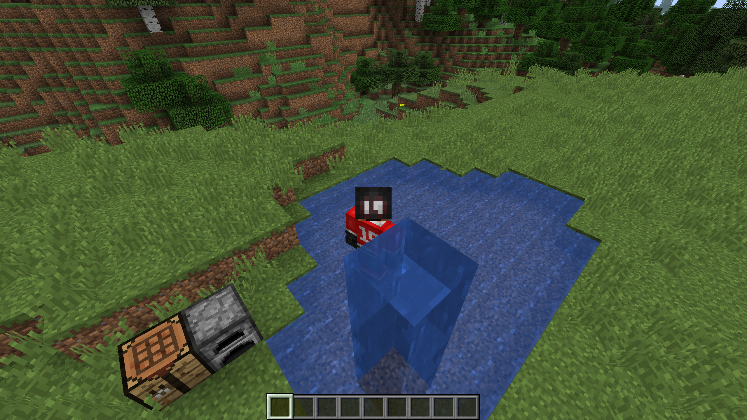 Attached image file