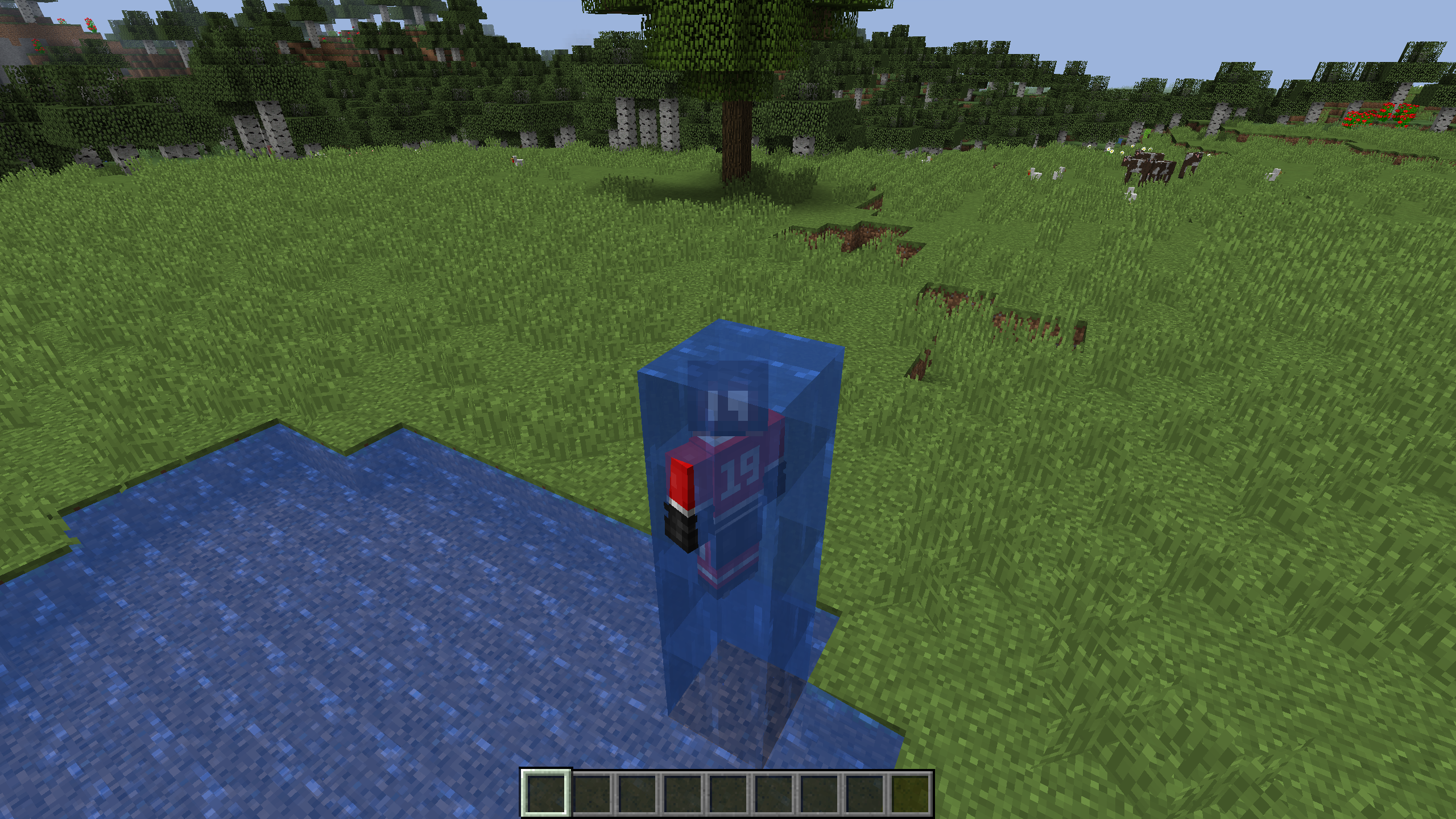 Attached image file