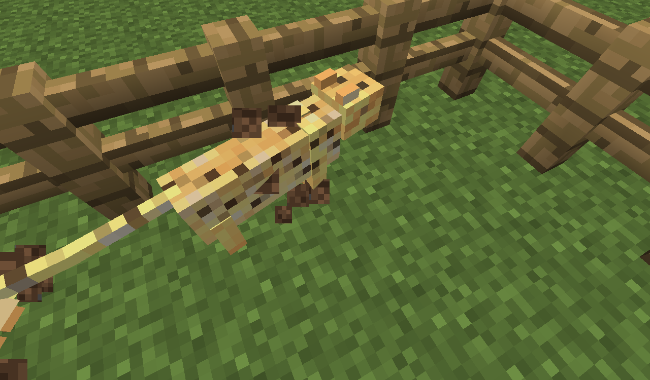 Attached image file