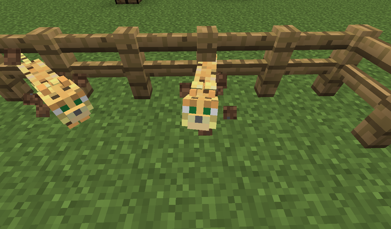 Attached image file