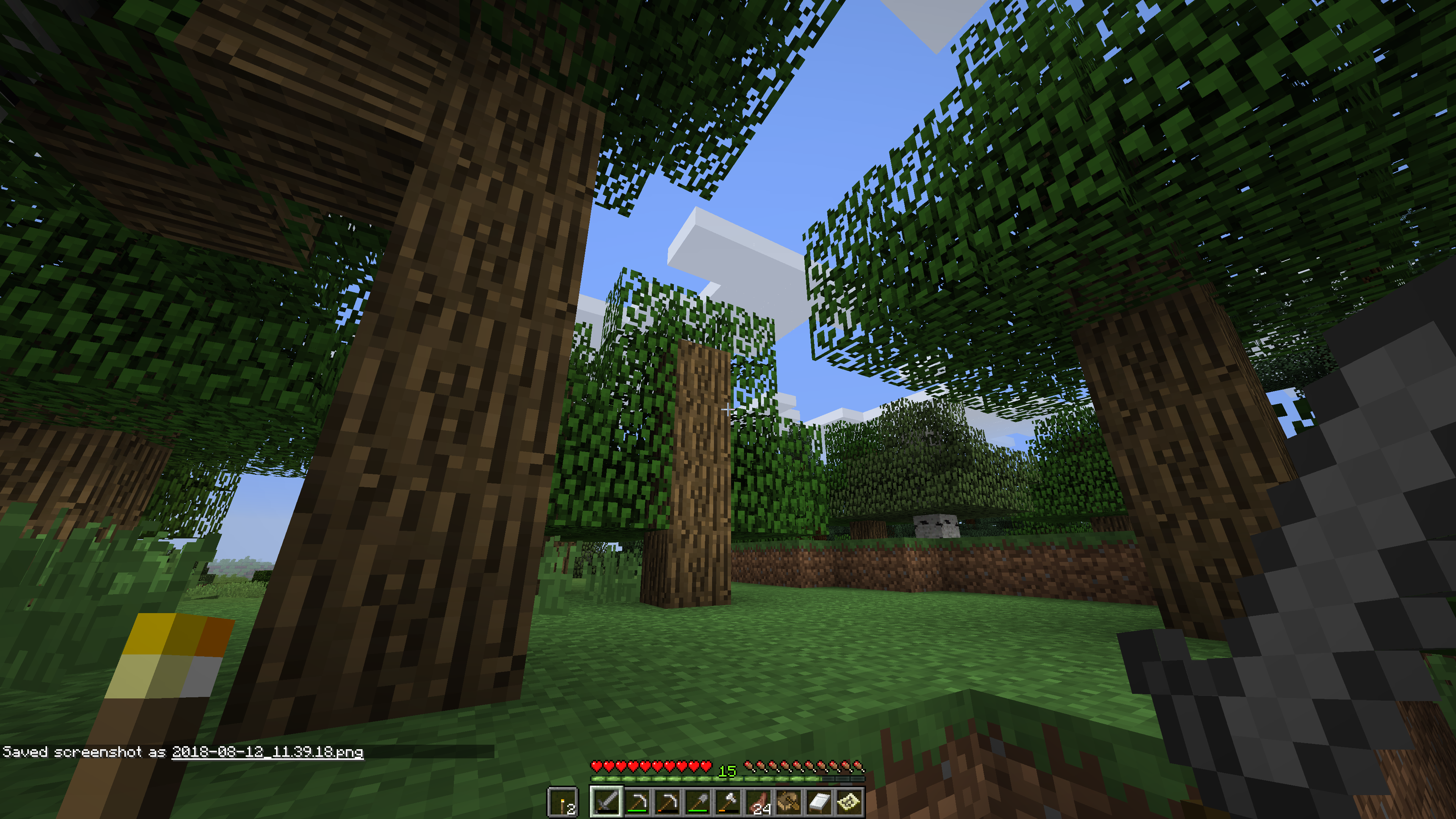 Attached image file