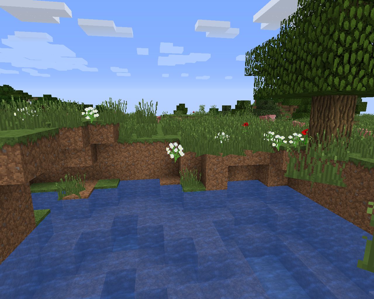 Attached image file