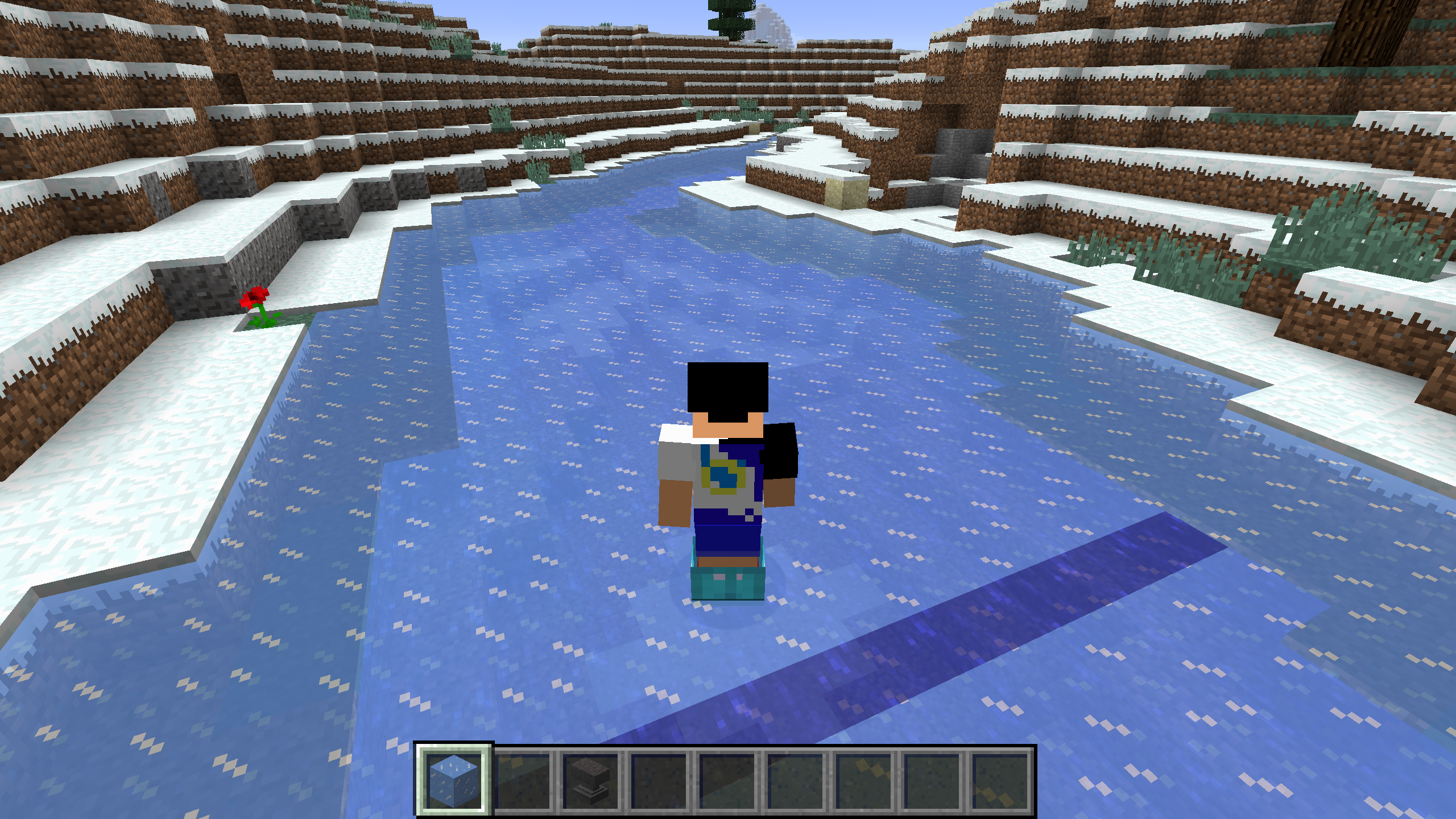 Attached image file
