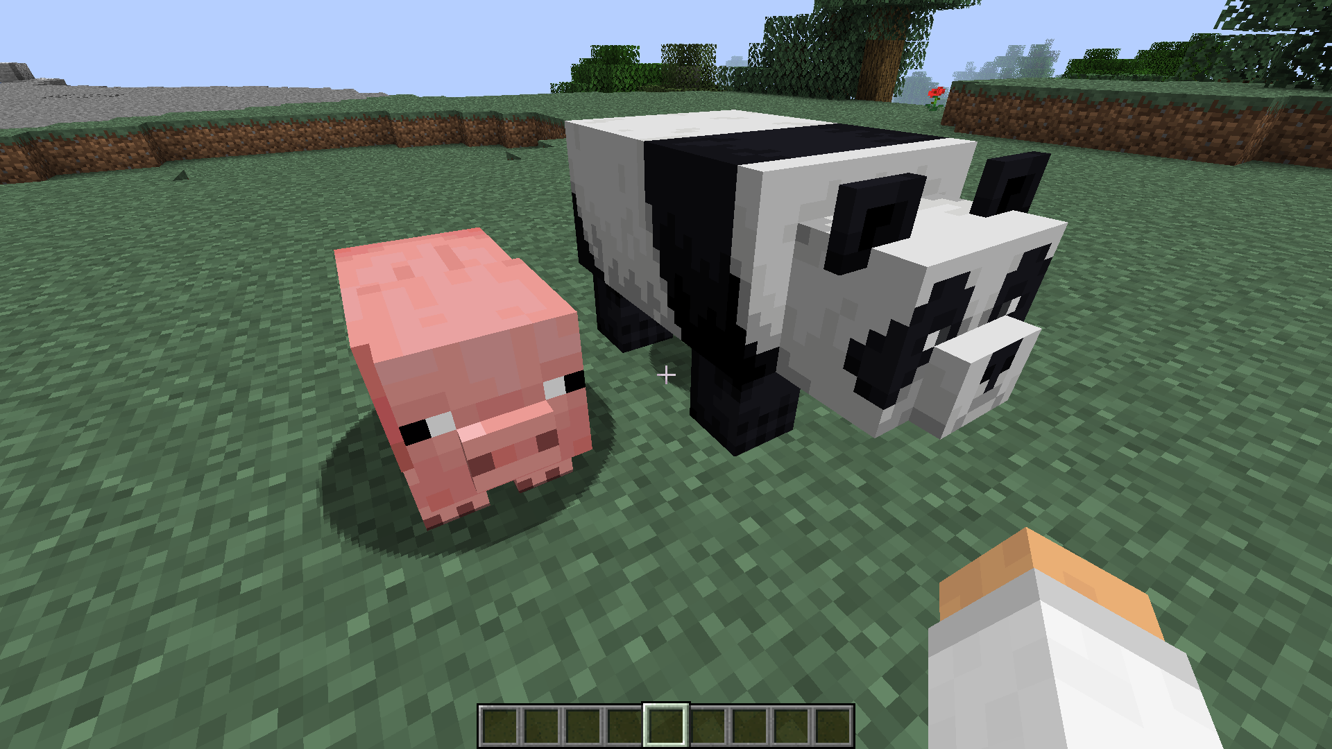 Attached image file