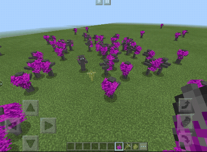 Attached image file