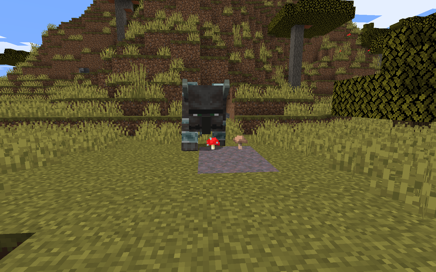 Attached image file