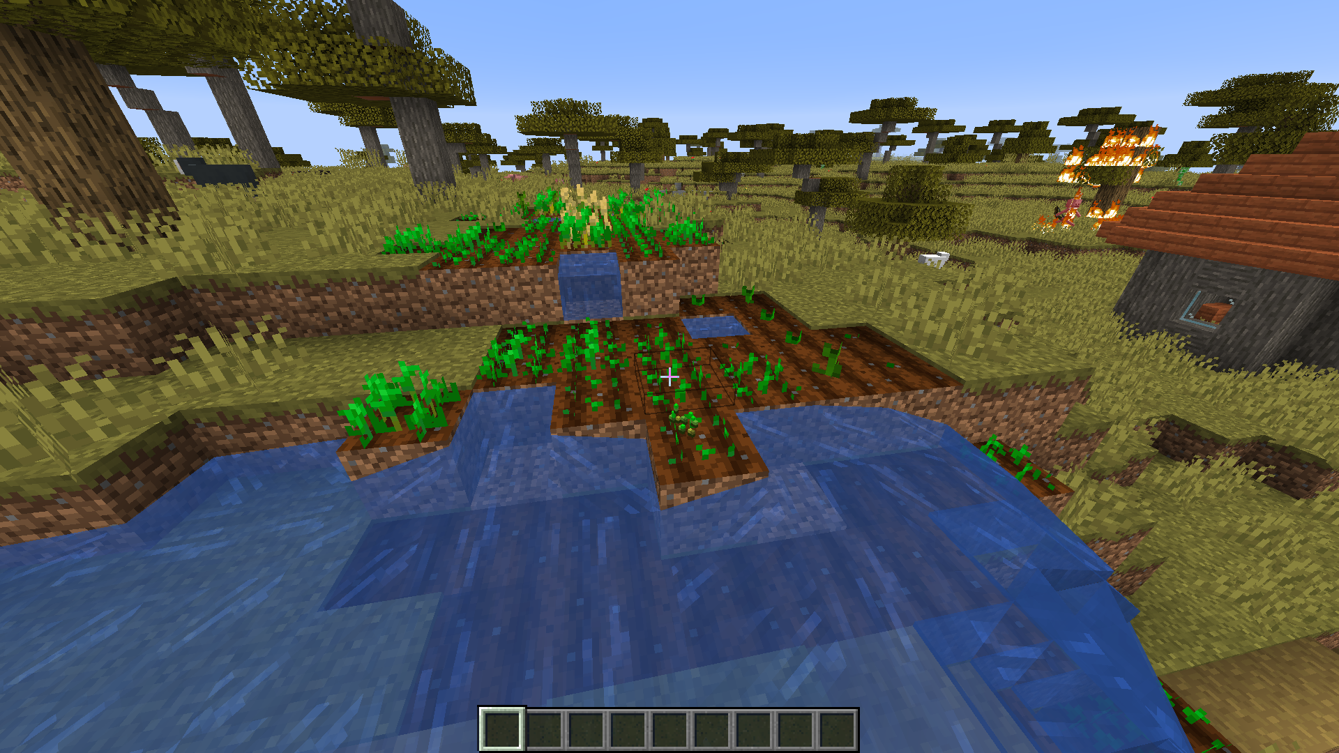 Attached image file