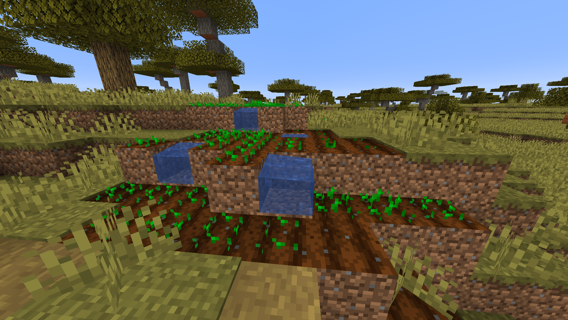 Attached image file