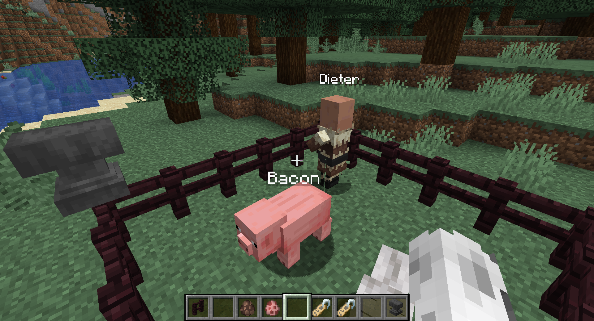 Attached image file