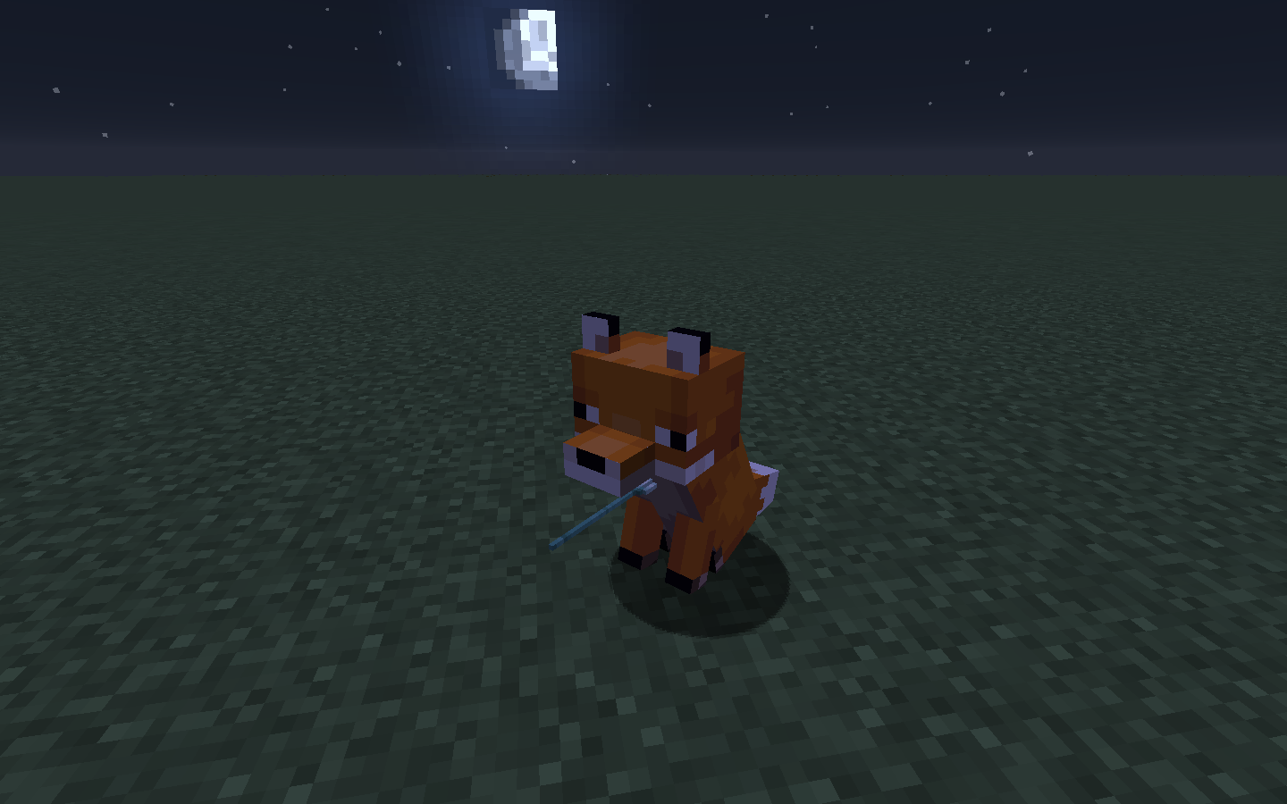 Attached image file