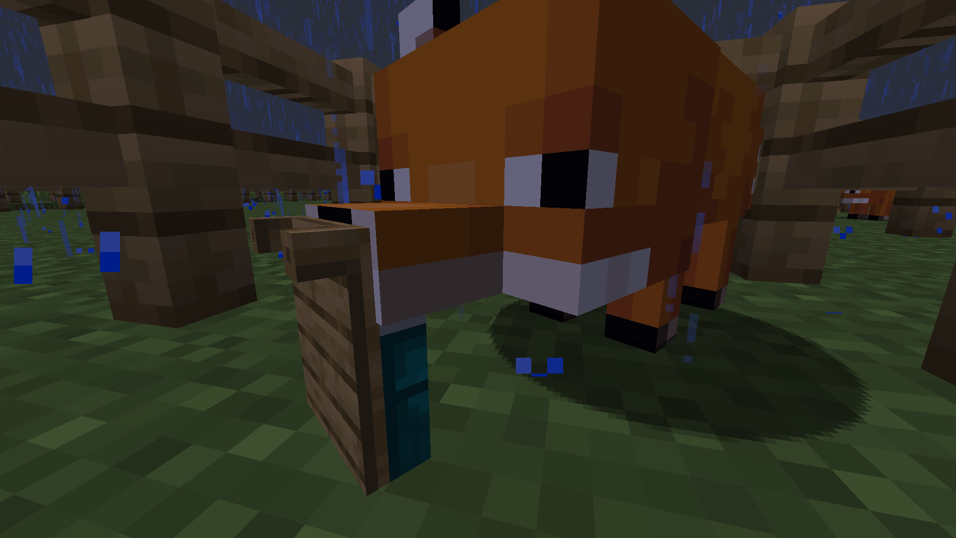 Attached image file