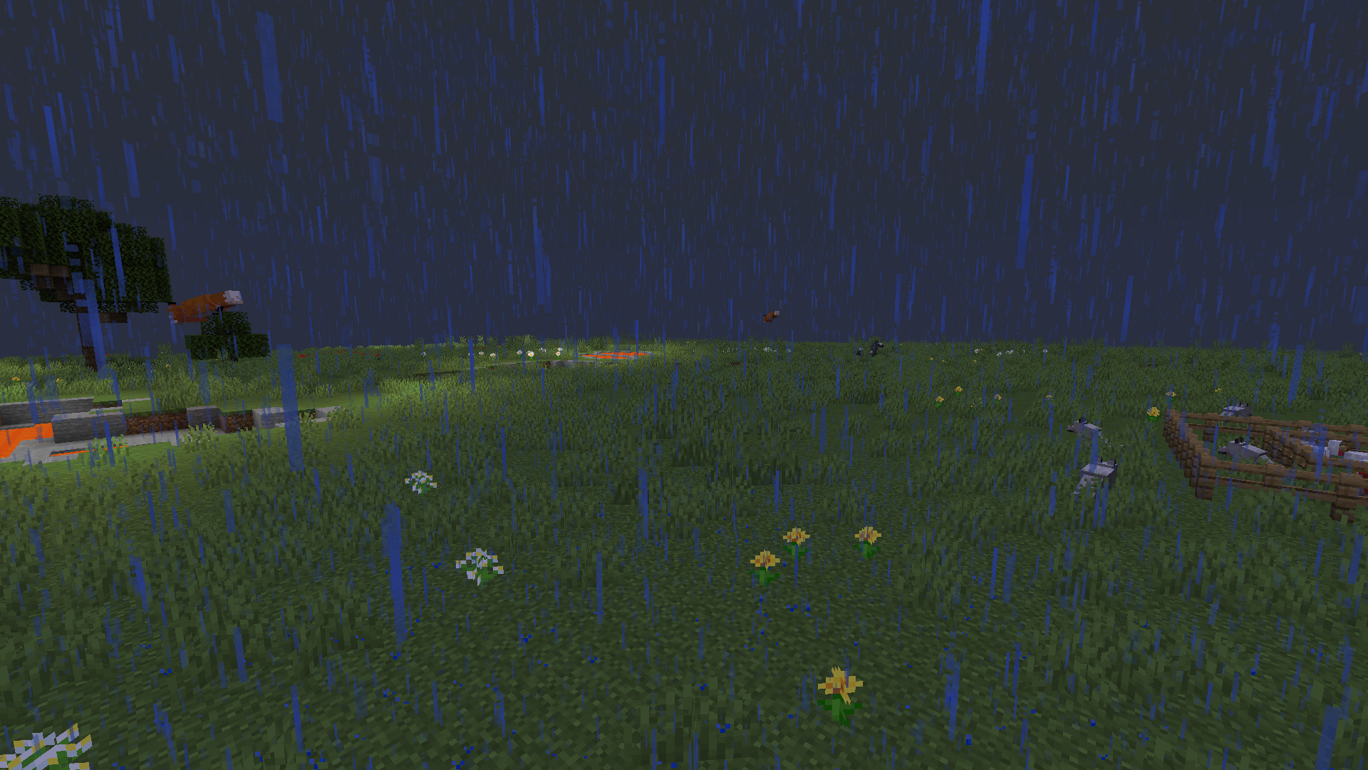 Attached image file