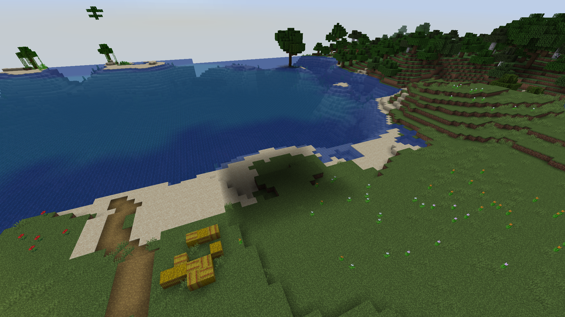 Attached image file