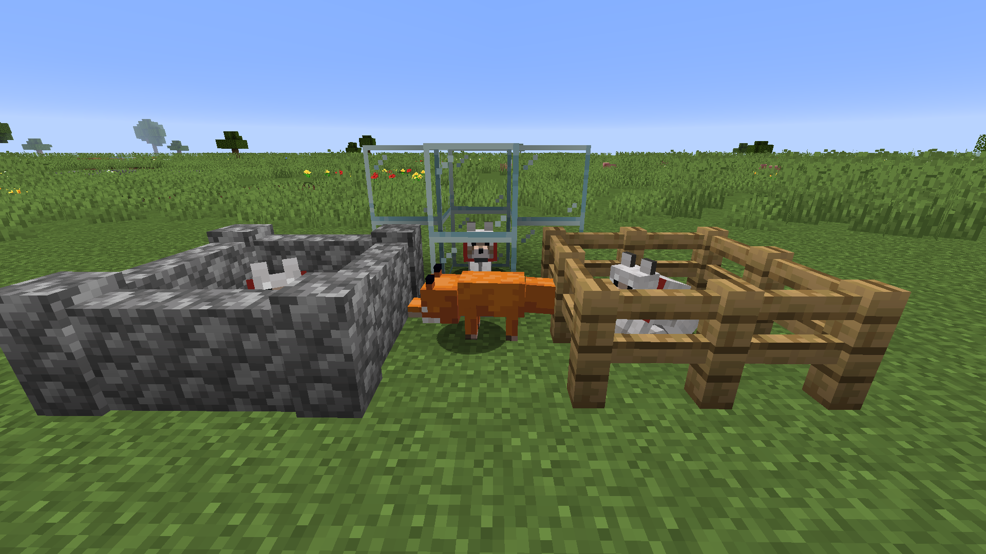 Attached image file