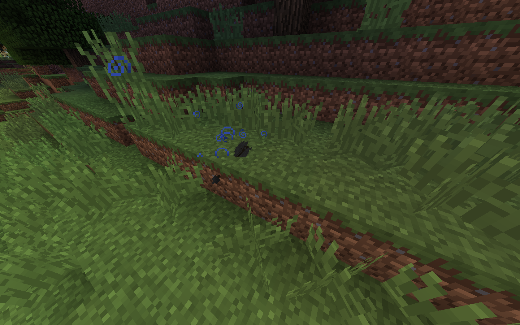 Attached image file
