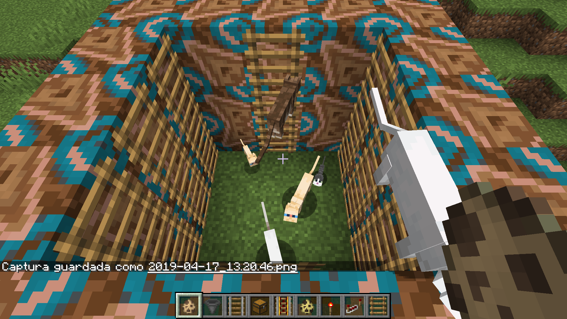 Attached image file